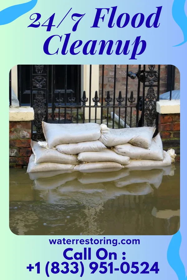 24/7 Flood Cleanup in North Alamo, TX
