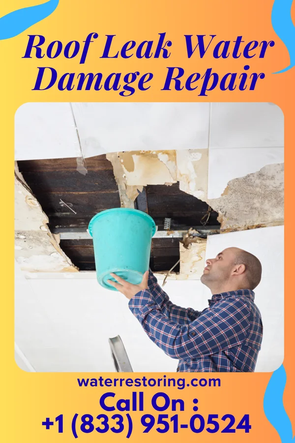 Roof Leak Water Damage Repair in North Alamo, TX