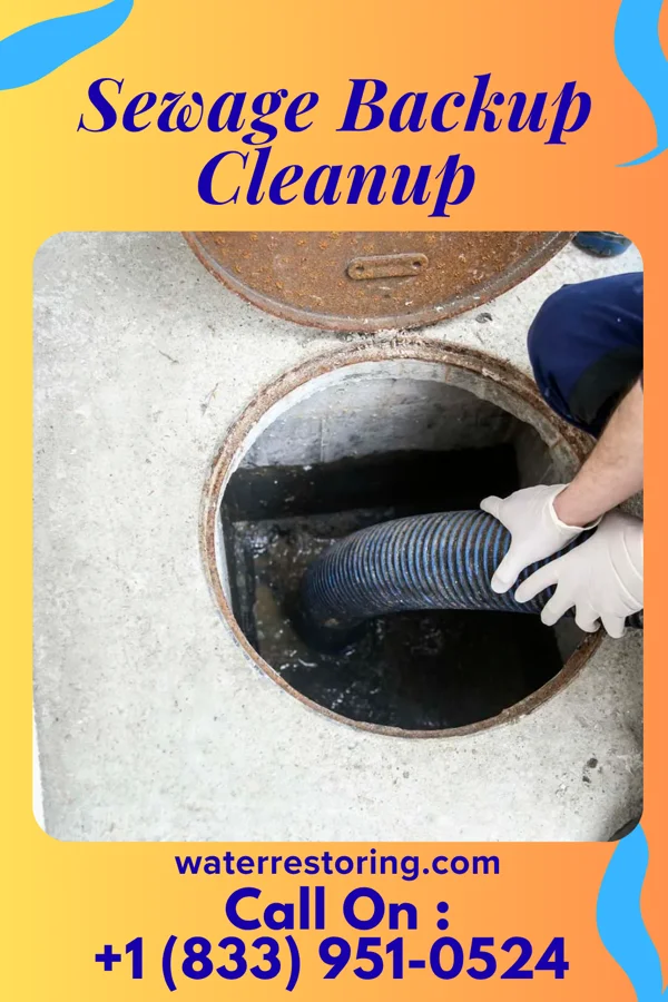 Sewage Backup Cleanup in North Alamo, TX